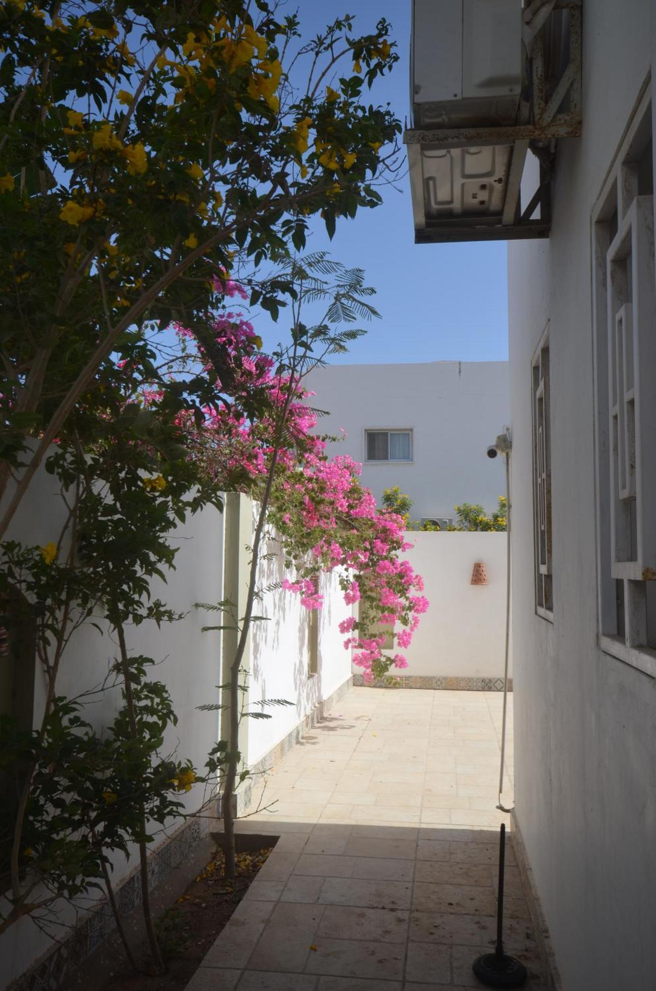 Elite Residence Dahab Buitenkant foto